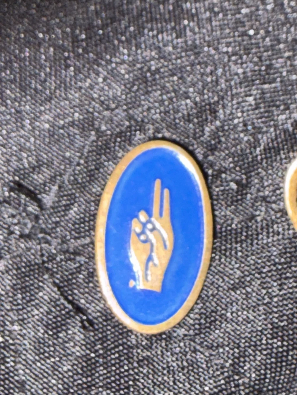 Vintage Girl Scout Pin Lot Blue Enamel Peace Sign&Fleur De Lis Gold tone